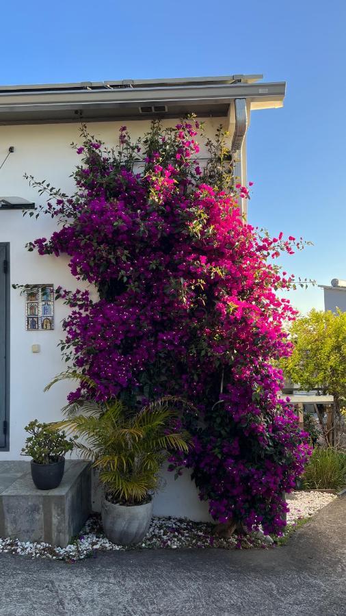 Plumeria Holidays サン・ピエール エクステリア 写真