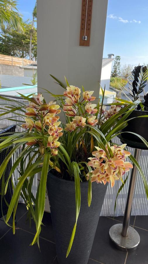 Plumeria Holidays サン・ピエール エクステリア 写真