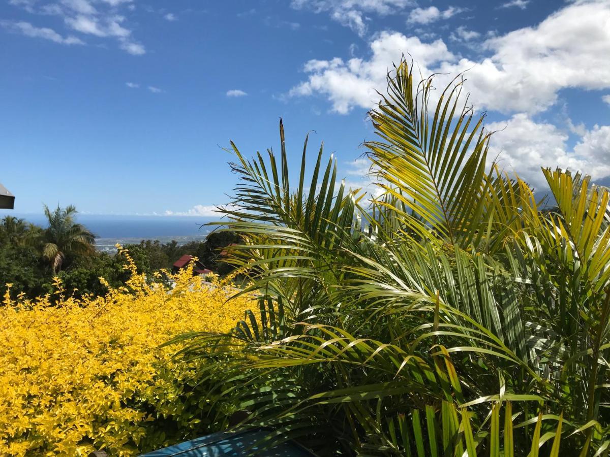 Plumeria Holidays サン・ピエール エクステリア 写真