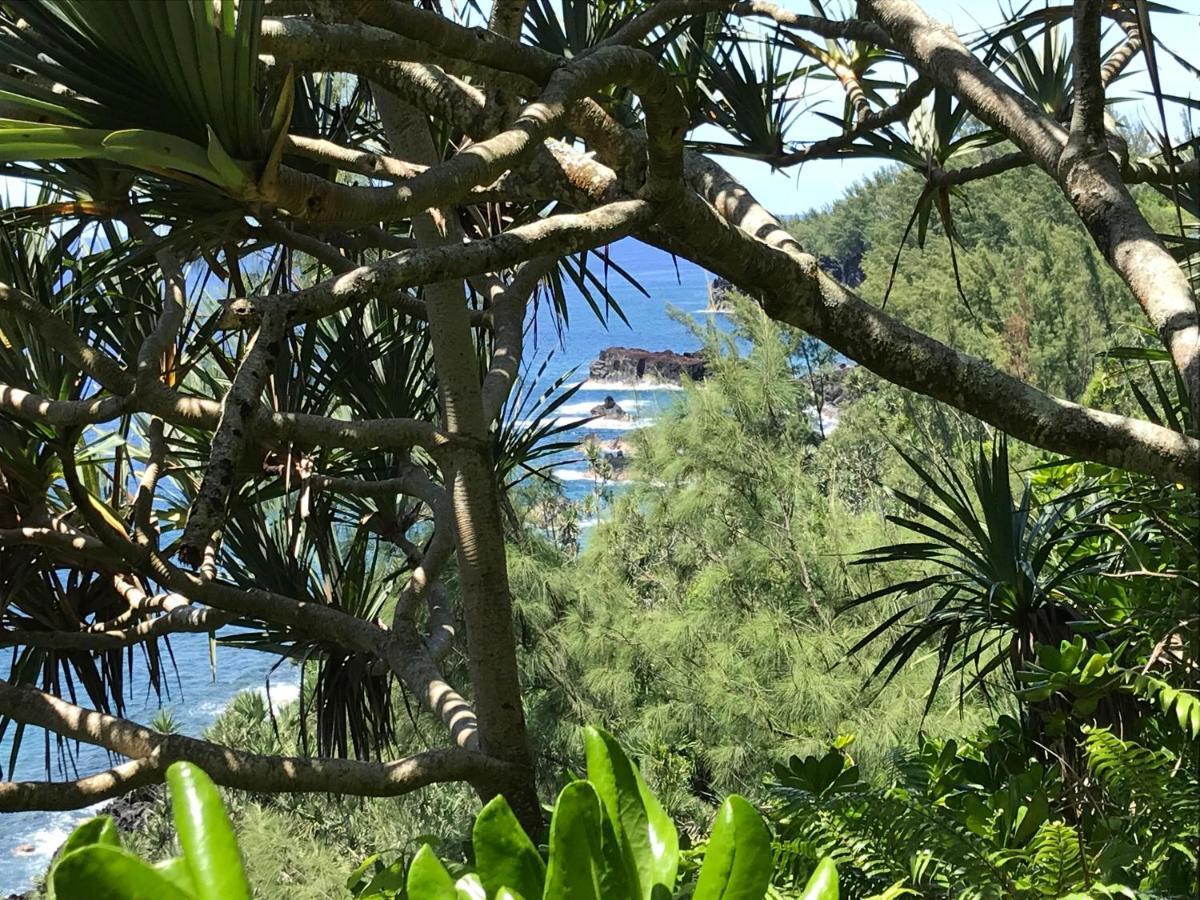 Plumeria Holidays サン・ピエール エクステリア 写真