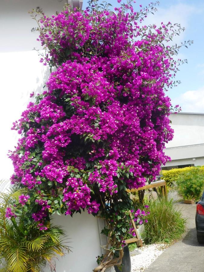 Plumeria Holidays サン・ピエール エクステリア 写真